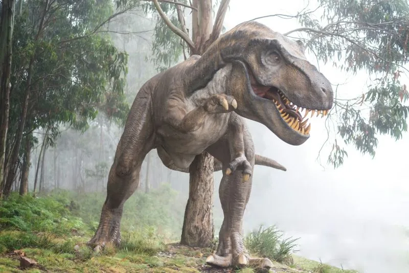 AI Advances Dinosaur Identification Through Fossilized Footprints