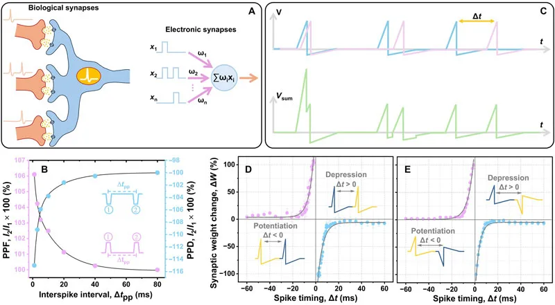 Cambridge Researchers Develop Advanced Memristor to Enhance AI Hardware Efficiency