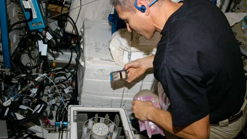 Microbes Could Play Key Role in Future Asteroid Mining for Precious Metals