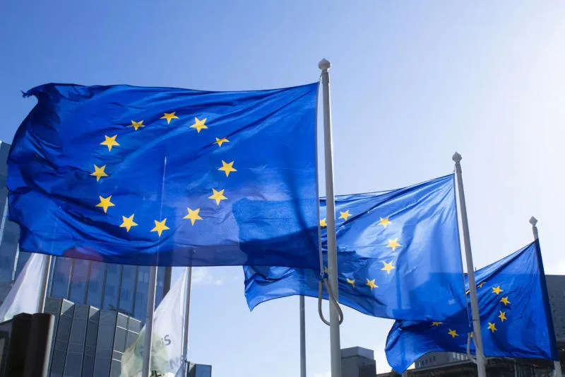 European Parliament Report Highlights VPN Use to Bypass Age Verification Systems