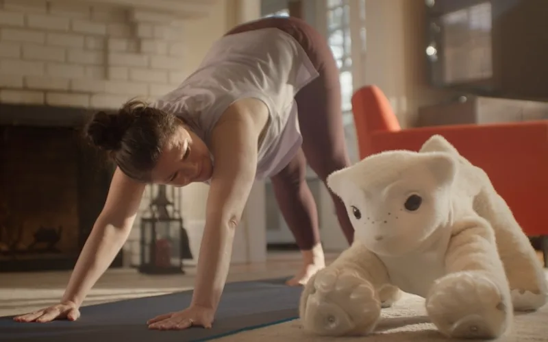 Colin Angle Unveils Familiar, a Four-Legged Robot Pet Featuring Local Generative AI
