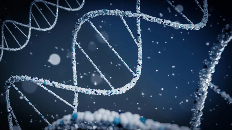 ArXiv Imposes One-Year Ban on Authors Submitting AI-Generated Papers